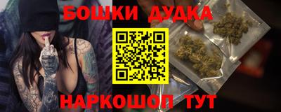 индика Будённовск
