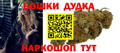 индика Будённовск