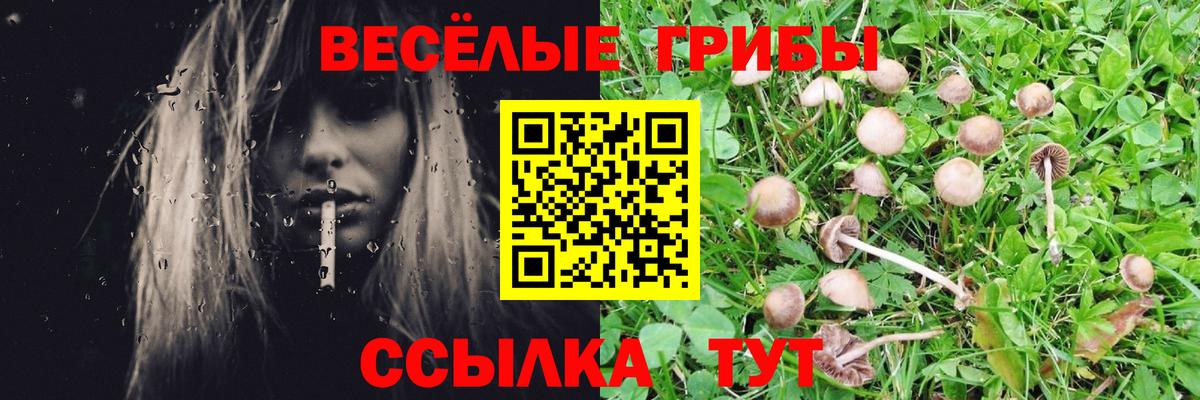 Можайск  Галлюциногенные грибы MAGIC MUSHROOMS  Вход с VPN 